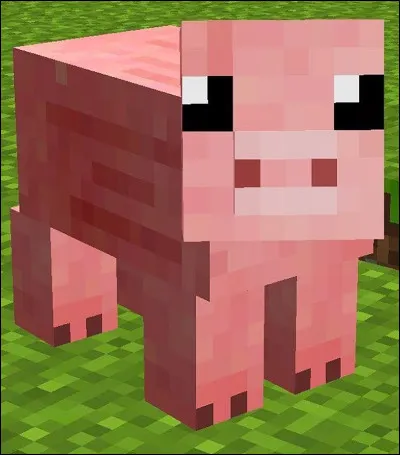 Sur Minecraft, vous êtes plutôt :