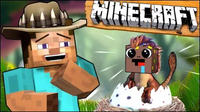 Si vous construisiez une base dans Minecraft, quel style adopteriez-vous ?