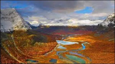 Quel nom suédois désigne l'eau-de-vie scandinave à base de grain ou de pomme de terre ?