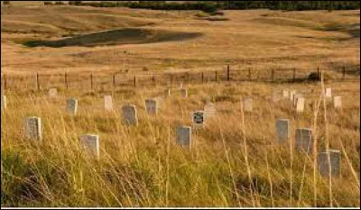 Ce 25 juin, se déroule la bataille de Little Big Horn, épisode des guerres indiennes menées par les Etats-Unis, qui voit la défaite de la troupe du général Custer face aux Sioux conduits par Crazy Horse : en quelle année était-ce ?