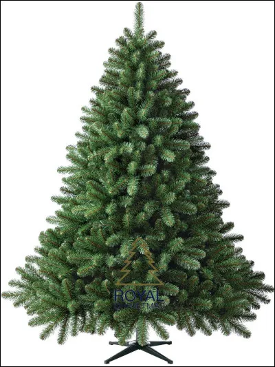 Dernière question qui n'en est pas vraiment une et n'a rien à voir avec le test. Choisis une couleur.