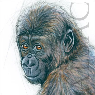 Pitiplouf ? Est-ce que tu comprends ce que ça veut dire ?