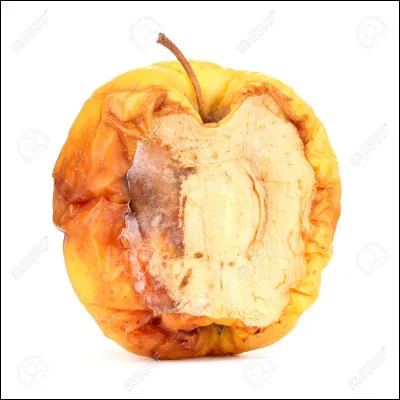 As-tu une grande empathie ?