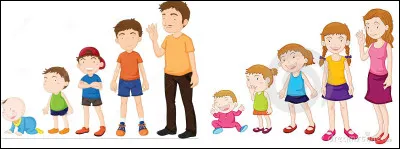 Jusqu'à quel âge peut-on grandir ?