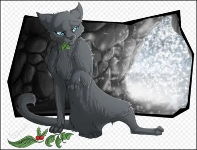 Tu es malade et es consigné dans la tanière du guérisseur, qui n'est pas là pour l'instant. Que fais-tu ?