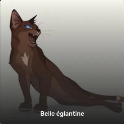 Ta maladie ne peut pas être guérie. Tu dois être apprenti guérisseur.
Quelle est ta réaction ?