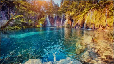 Quelle est votre relation avec la nature ?