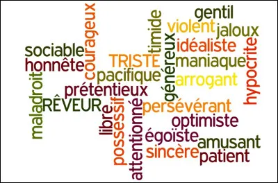 Comment décririez-vous votre personnalité générale ?