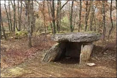 Nous terminons notre balade devant le dolmen de Finelle, à Septfonds. Ville de l'aire d'attraction Montalbanaise, dans le Quercy blanc, elle se situe dans le département ...