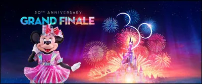 Quelle est la ville dans laquelle Disneyland Paris est située ?