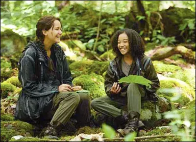 Tu as choisis des alli&eacute;(e)s, tu :