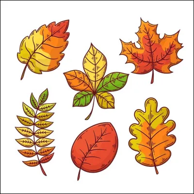 Les températures baissent progressivement en automne.