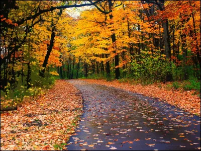 Comment dit-on "automne" en anglais ?