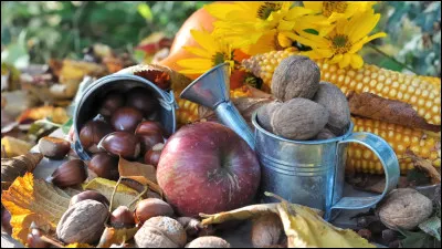 En automne, le soleil se couche plus tôt qu'en été.