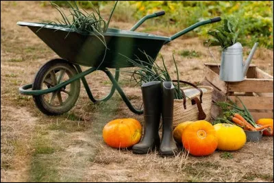 Dans l'hémisphère nord, l'automne annonce le début de la récolte de certaines cultures comme le maïs ou le tournesol.