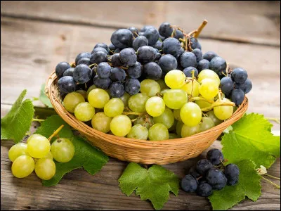 Les vendanges sont des événements qui marquent l'automne.