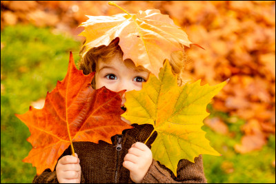 Quelle saison précède l'automne ?
