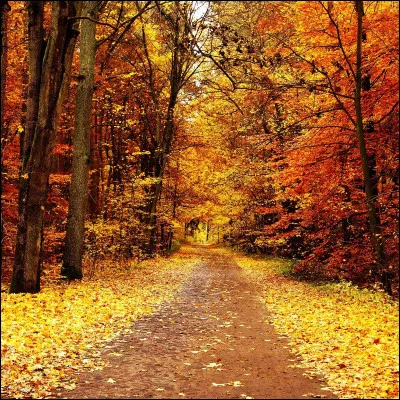 L'automne 2023 commence le ... septembre.