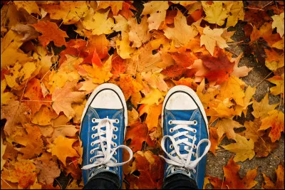 L'automne 2023 se termine le ... décembre.