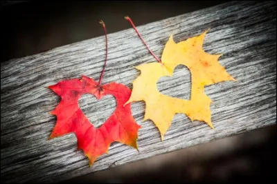 On nomme parfois l'automne comme "arrière-saison".