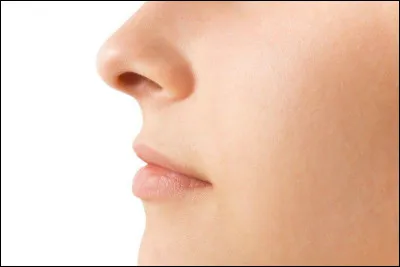 Si vous aimez les animaux, ce métier est fait pour vous !