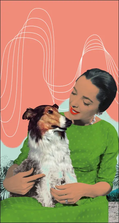 On peut parler à certains animaux.