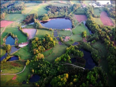 Quel est ce plateau du département de la Haute-Saône qui est recouvert de forêts et d'eau sur 220 km2 ?