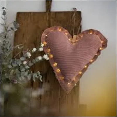 Sur quelle plateforme est sortie la comédie romantique "À tous les garçons que j'ai aimés" ?