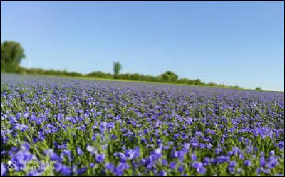 Quelle lettre faut-il ajouter pour obtenir un attachement ?