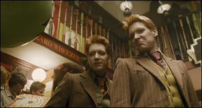 Numéro 4 : Fred et George Weasley
Quel est le jumeau qui meurt à la bataille de Poudlard ?