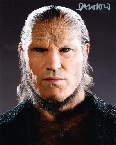 Numéro 3 : Greyback
Quelle personne fut mordue par Greyback ?