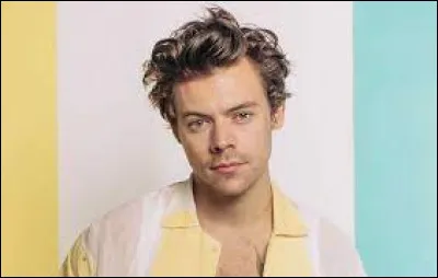 Dans quel film de Christopher Nolan joue le chanteur Harry Style ?