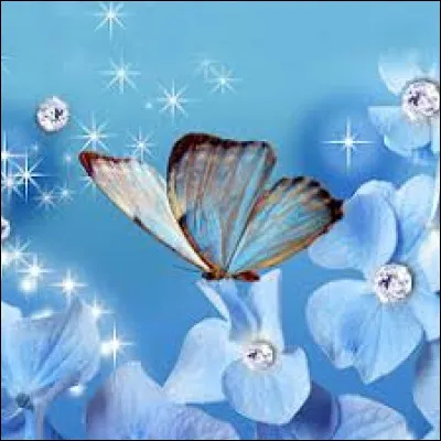 Que signifie l'exclamation : "Minute papillon !" ?