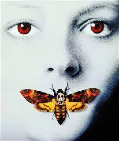 De quel film est tirée cette affiche où un papillon cache la bouche d'une jeune fille ?