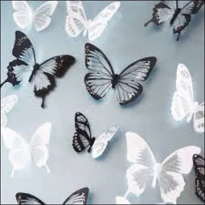 Comment appelle-t-on un collectionneur de papillons ?