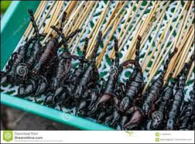 Il faut tout manger hein, carapace comprise, il paraît que ça croustille sous la dent !