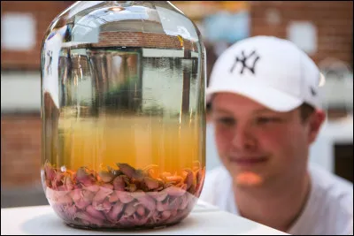 Bon là je vous propose un vrai régal, à prendre à l'apéro avec les tapas, miam !