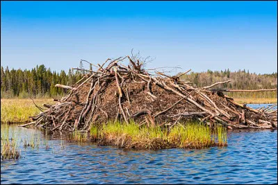 Bon, histoire de varier, on change de continent, ce produit nous en avons tous mangé plus ou moins sans le savoir (heureusement) et d'ailleurs c'est toujours le cas, choisissez un nom ci-dessous !