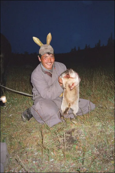 Allez on refait un petit tour en Asie, il ne faut pas se priver des bonnes choses, donc vous prenez une chèvre, ou bien une marmotte, si vous arrivez à l'attraper, et vous préparez ...
