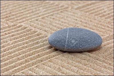 Qu'est-ce que vous voyez ?