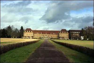 Pour finir, je vous emmène en Bourgogne-Franche-Comté à la découverte du château de Saint-Rémy-en-Comté. Village de l'aire d'attraction Vésulienne, il se situe dans le département ...