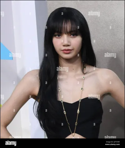 Pourquoi Lisa a-t-elle été beaucoup critiquée ?