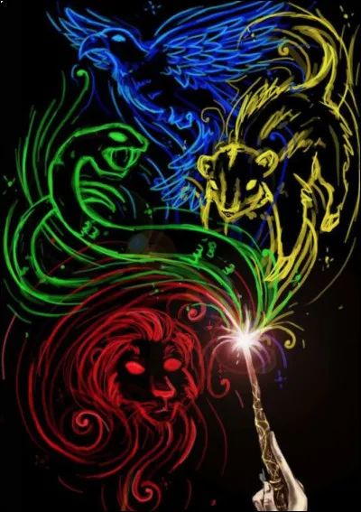 Quelle maison pr&eacute;f&egrave;res-tu ?