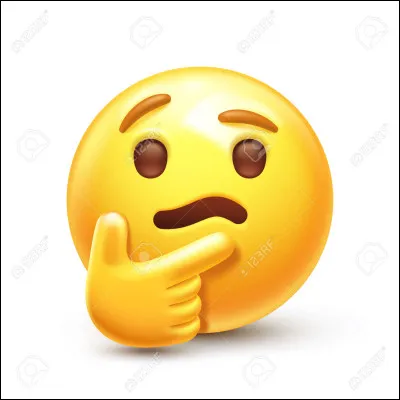 Derni&egrave;re question : Pourquoi fais-tu ce test ?