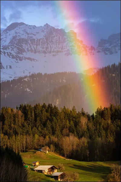 Quelle ta couleur pr&eacute;f&eacute;r&eacute;e parmi celles-ci ?