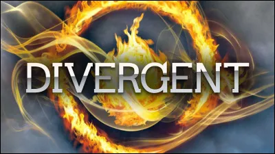 "Les Divergents" qu'est-ce que c'est pour toi ?