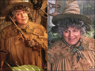 Pour finir voici quelques questions bonus : 
De quelle maison Pomona Chourave est-elle la professeure principale ?