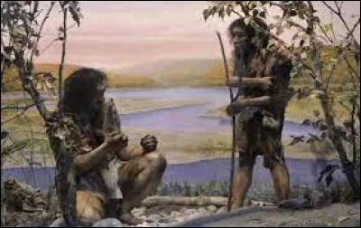 Que signifie ''Homo erectus'' ?