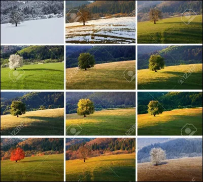 Quel est ton mois de naissance ?