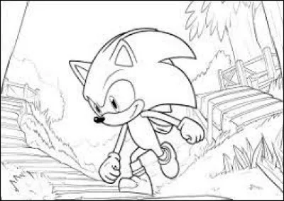 De quelle couleur est Sonic, l'hérisson se déplaçant à vitesse supersonique ?